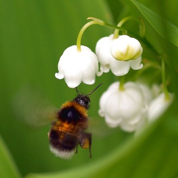 Meet your Posher, Kylie - Picture 1 of 1